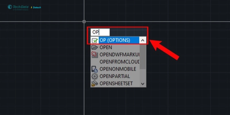 go-lenh-options-va-nhan-enter