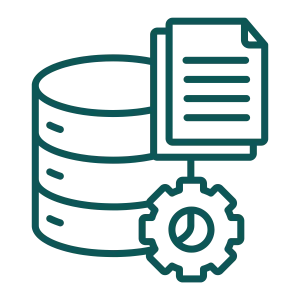 icon-data-manager