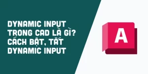 cach-bat-tat-dynamic-input