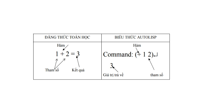 cu-phap-va-cau-truc-co-ban